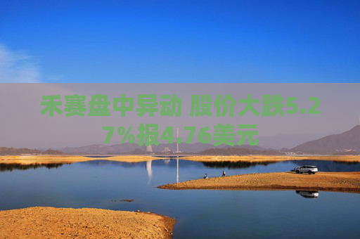 禾赛盘中异动 股价大跌5.27%报4.76美元