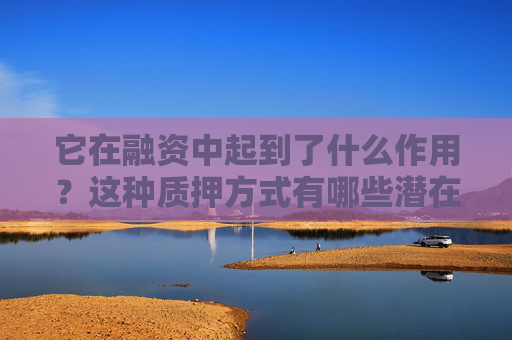 它在融资中起到了什么作用？这种质押方式有哪些潜在的风险和决策？