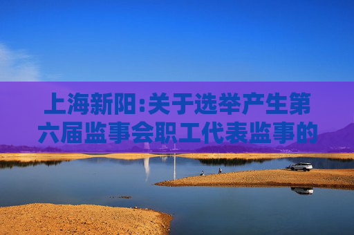 上海新阳:关于选举产生第六届监事会职工代表监事的公告