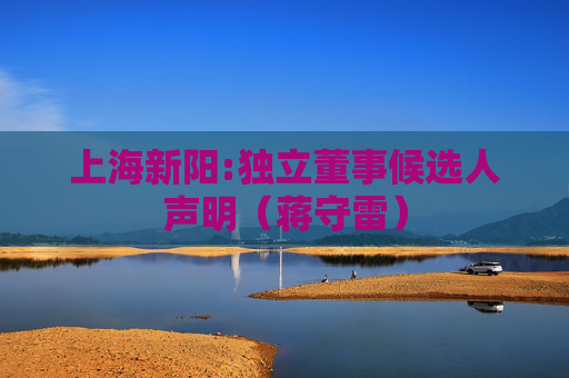 上海新阳:独立董事候选人声明（蒋守雷）