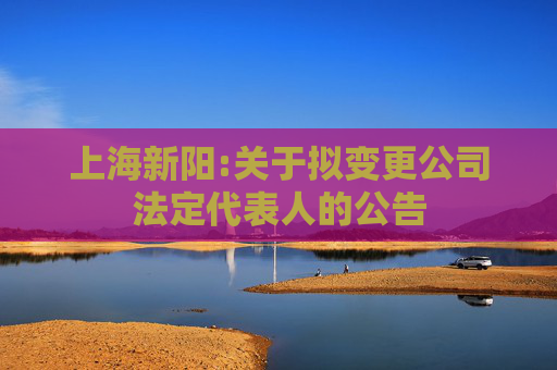 上海新阳:关于拟变更公司法定代表人的公告