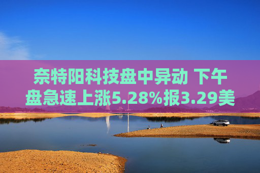 奈特阳科技盘中异动 下午盘急速上涨5.28%报3.29美元
