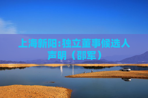 上海新阳:独立董事候选人声明（邵军）