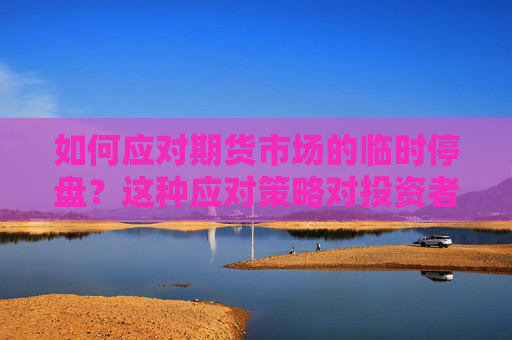 如何应对期货市场的临时停盘？这种应对策略对投资者有何影响？