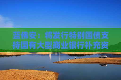 蓝佛安：将发行特别国债支持国有大型商业银行补充资本