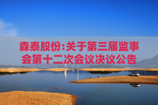 森泰股份:关于第三届监事会第十二次会议决议公告