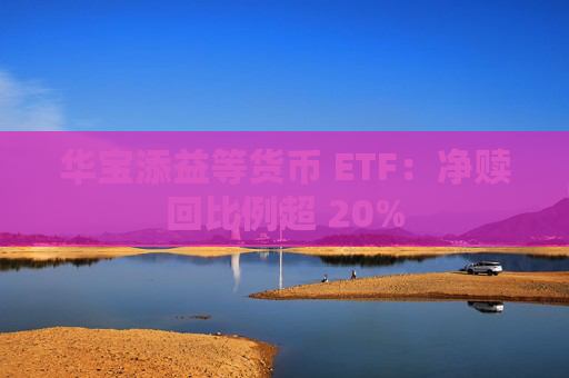 华宝添益等货币 ETF：净赎回比例超 20%