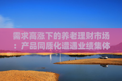 需求高涨下的养老理财市场：产品同质化遭遇业绩集体大波动 增强风险提示“道阻且长”