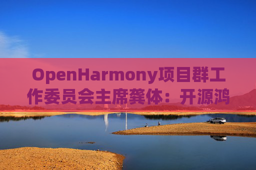OpenHarmony项目群工作委员会主席龚体：开源鸿蒙代码量已超1.1亿行