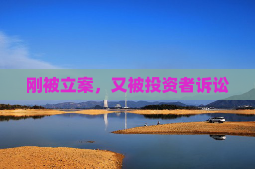 刚被立案，又被投资者诉讼