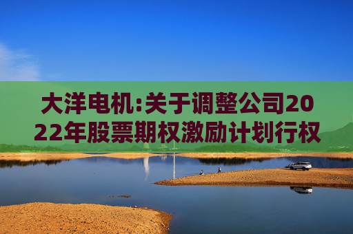 大洋电机:关于调整公司2022年股票期权激励计划行权价格的公告
