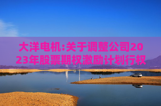 大洋电机:关于调整公司2023年股票期权激励计划行权价格的公告