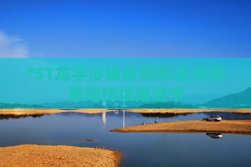 *ST龙宇涉嫌虚假陈述 股民索赔持续推进中