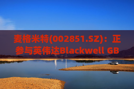 麦格米特(002851.SZ)：正参与英伟达Blackwell GB200系统的创新设计与合作建设