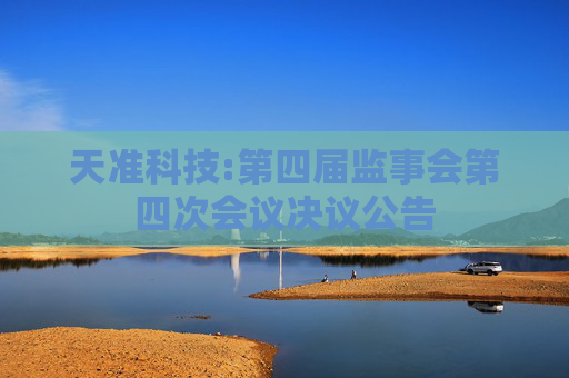 天准科技:第四届监事会第四次会议决议公告