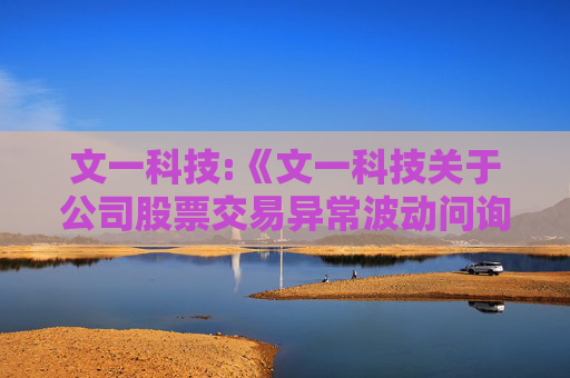 文一科技:《文一科技关于公司股票交易异常波动问询函》的回复（控股股东）