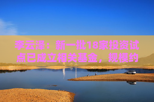 李云泽：新一批18家投资试点已成立相关基金，规模约2500亿元