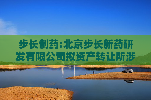 步长制药:北京步长新药研发有限公司拟资产转让所涉及的存货资产市场价值资产评估报告