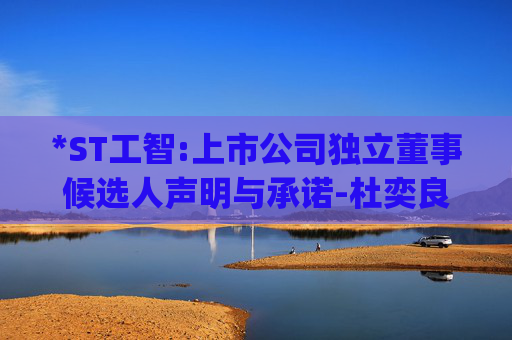 *ST工智:上市公司独立董事候选人声明与承诺-杜奕良(1)