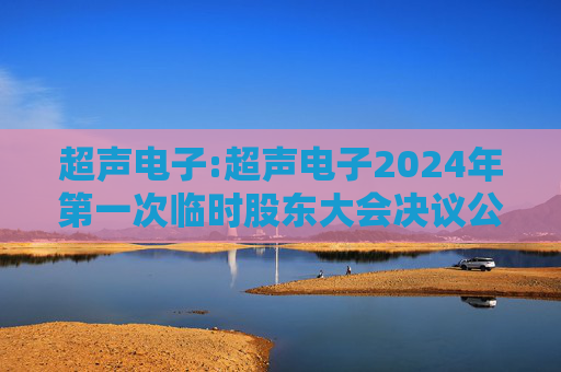 超声电子:超声电子2024年第一次临时股东大会决议公告