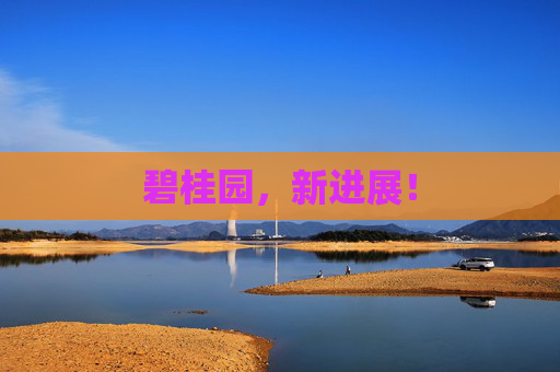 碧桂园，新进展！