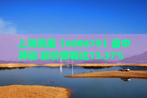 上海凤凰（600679）盘中异动 股价振幅达13.37%  上涨10%（09-03）