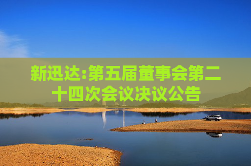 新迅达:第五届董事会第二十四次会议决议公告