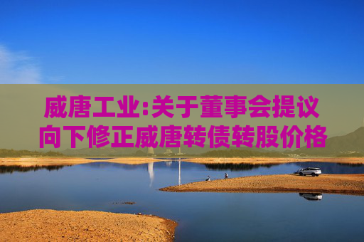 威唐工业:关于董事会提议向下修正威唐转债转股价格的公告