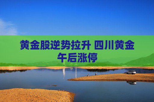 黄金股逆势拉升 四川黄金午后涨停