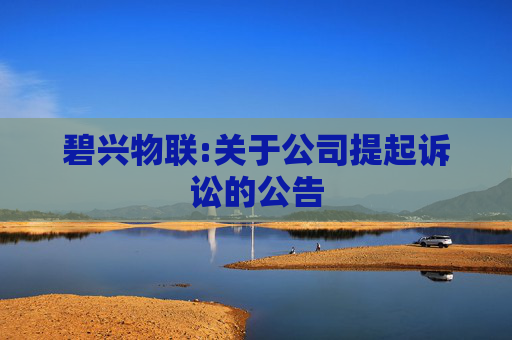 碧兴物联:关于公司提起诉讼的公告