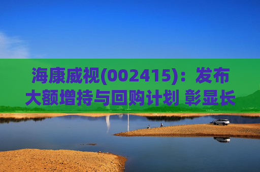 海康威视(002415)：发布大额增持与回购计划 彰显长期发展信心