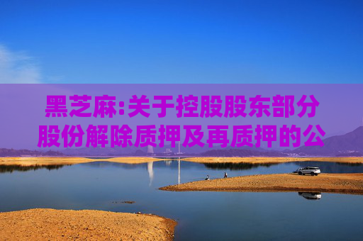黑芝麻:关于控股股东部分股份解除质押及再质押的公告