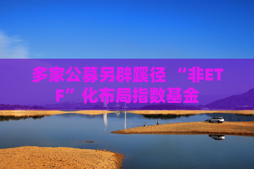 多家公募另辟蹊径 “非ETF”化布局指数基金