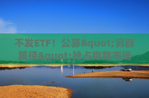 不发ETF！公募"另辟蹊径"抢占指数市场