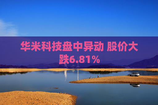华米科技盘中异动 股价大跌6.81%