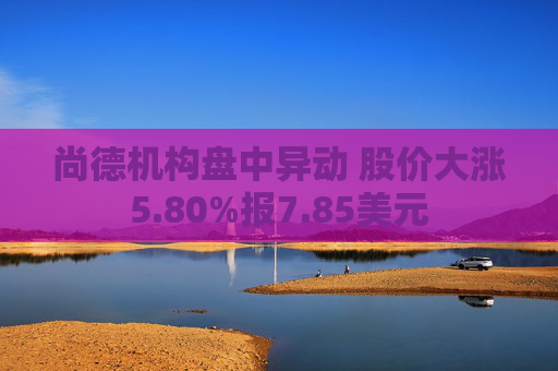 尚德机构盘中异动 股价大涨5.80%报7.85美元