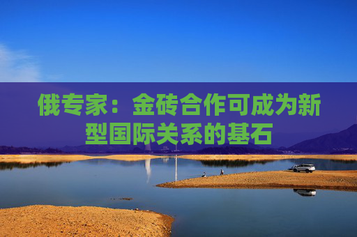 俄专家：金砖合作可成为新型国际关系的基石