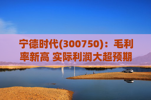 宁德时代(300750)：毛利率新高 实际利润大超预期