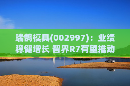 瑞鹄模具(002997)：业绩稳健增长 智界R7有望推动公司盈利提升