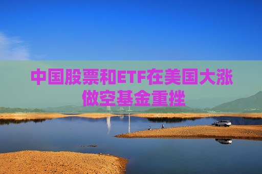 中国股票和ETF在美国大涨 做空基金重挫
