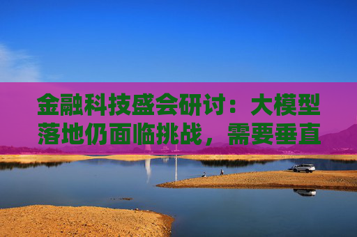 金融科技盛会研讨：大模型落地仍面临挑战，需要垂直领域“蚂蚁雄兵”