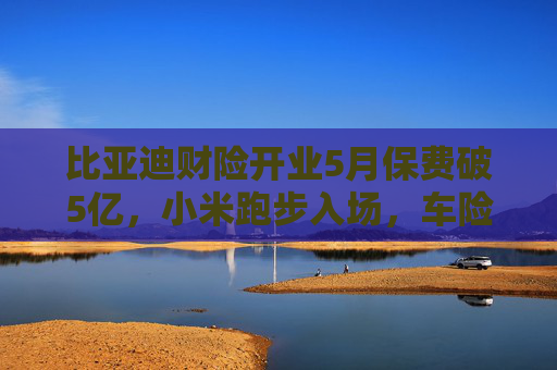 比亚迪财险开业5月保费破5亿，小米跑步入场，车险格局加速裂变中