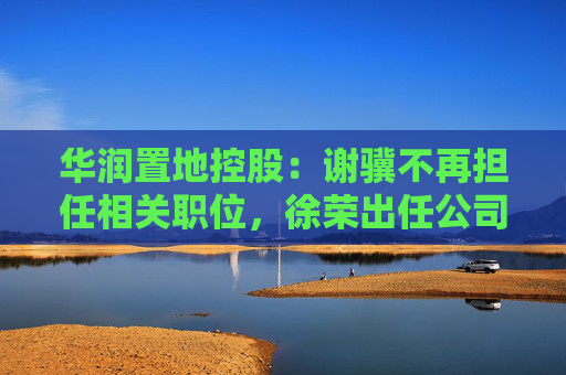 华润置地控股：谢骥不再担任相关职位，徐荣出任公司法定代表人、董事及总经理