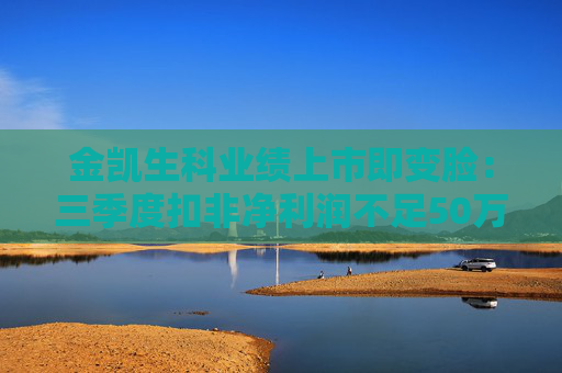金凯生科业绩上市即变脸：三季度扣非净利润不足50万元 理财收益成为主要利润来源