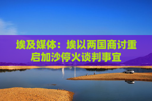 埃及媒体：埃以两国商讨重启加沙停火谈判事宜