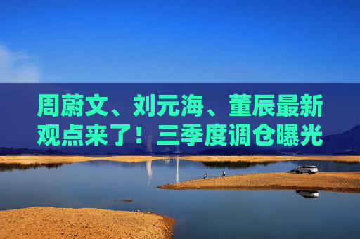周蔚文、刘元海、董辰最新观点来了！三季度调仓曝光