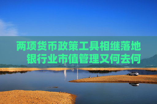 两项货币政策工具相继落地　银行业市值管理又何去何从