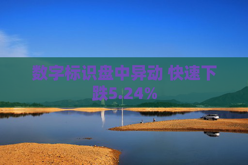 数字标识盘中异动 快速下跌5.24%