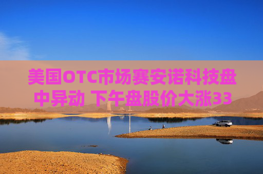 美国OTC市场赛安诺科技盘中异动 下午盘股价大涨33.20%