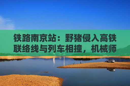铁路南京站：野猪侵入高铁联络线与列车相撞，机械师下车处置中被邻线列车碰撞身亡